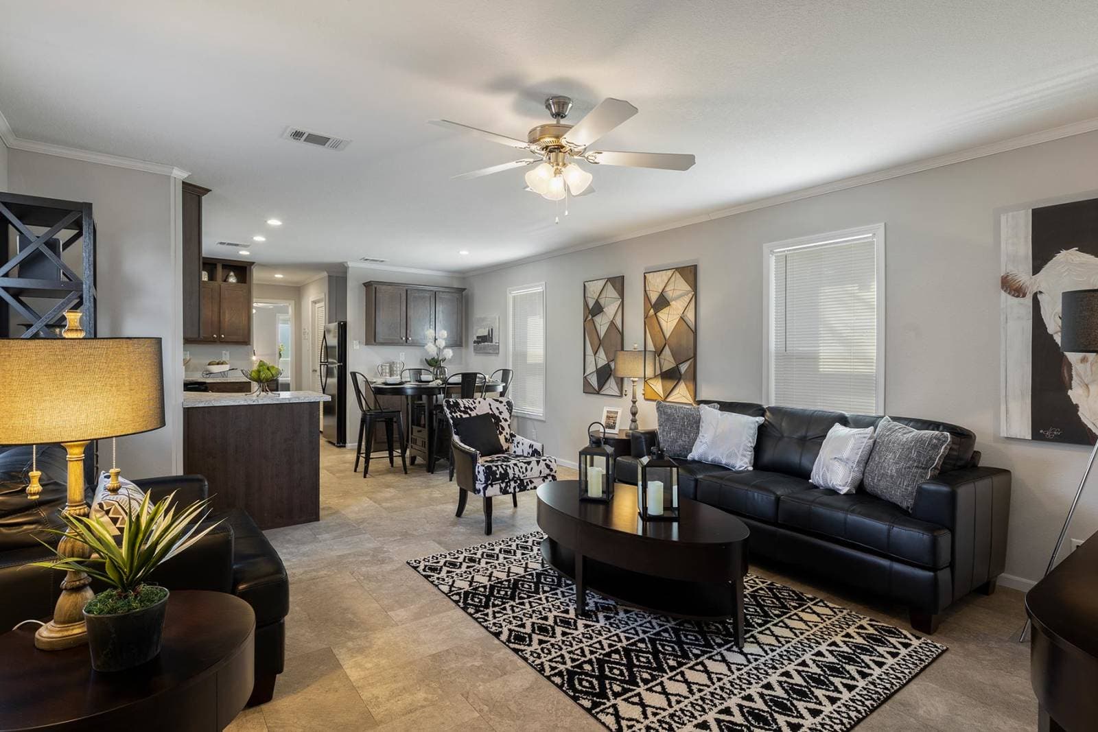 Cs1676c interior home features