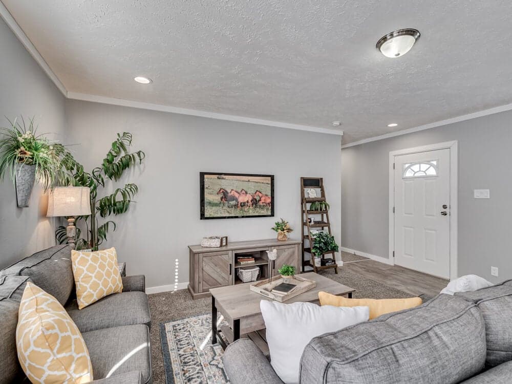 The big bo interior home features